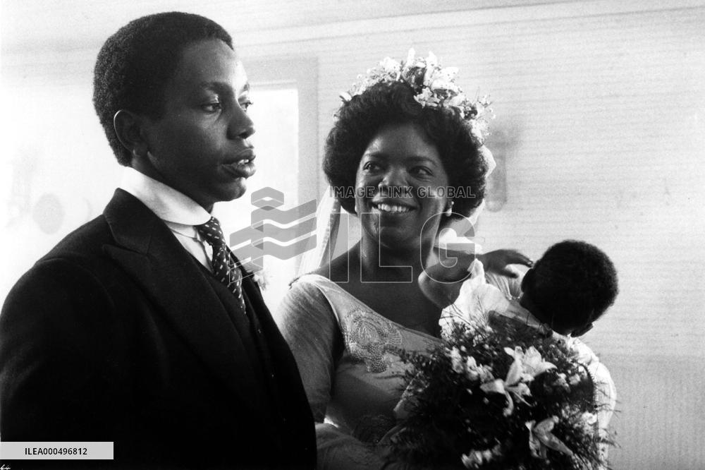 THE COLOUR PURPLE