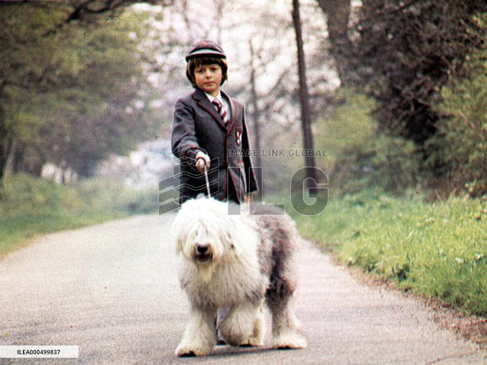 DIGBY THE BIGGEST DOG IN THE WORLD