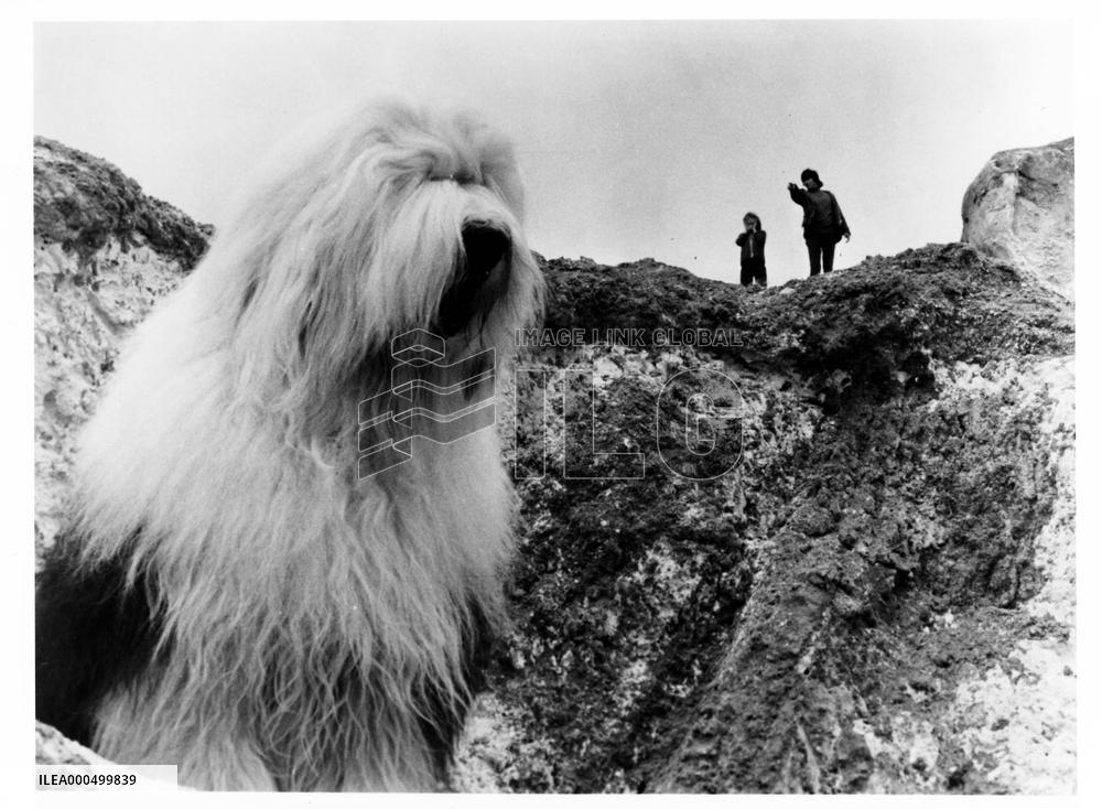 DIGBY THE BIGGEST DOG IN THE WORLD Br 1973]