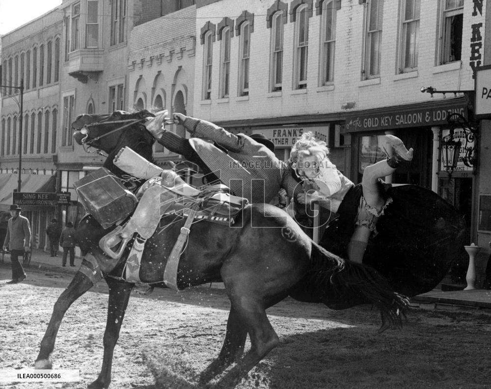 THE DUCHESS AND THE DIRTWATER FOX