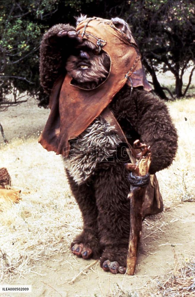 THE EWOK ADVENTURE