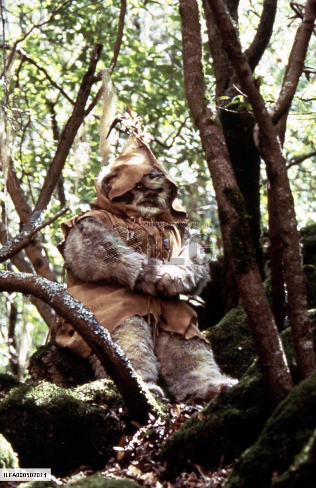 THE EWOK ADVENTURE