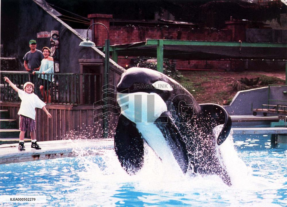 FREE WILLY