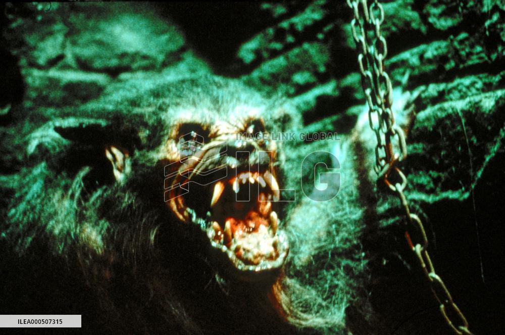 HOWLING V: THE REBIRTH