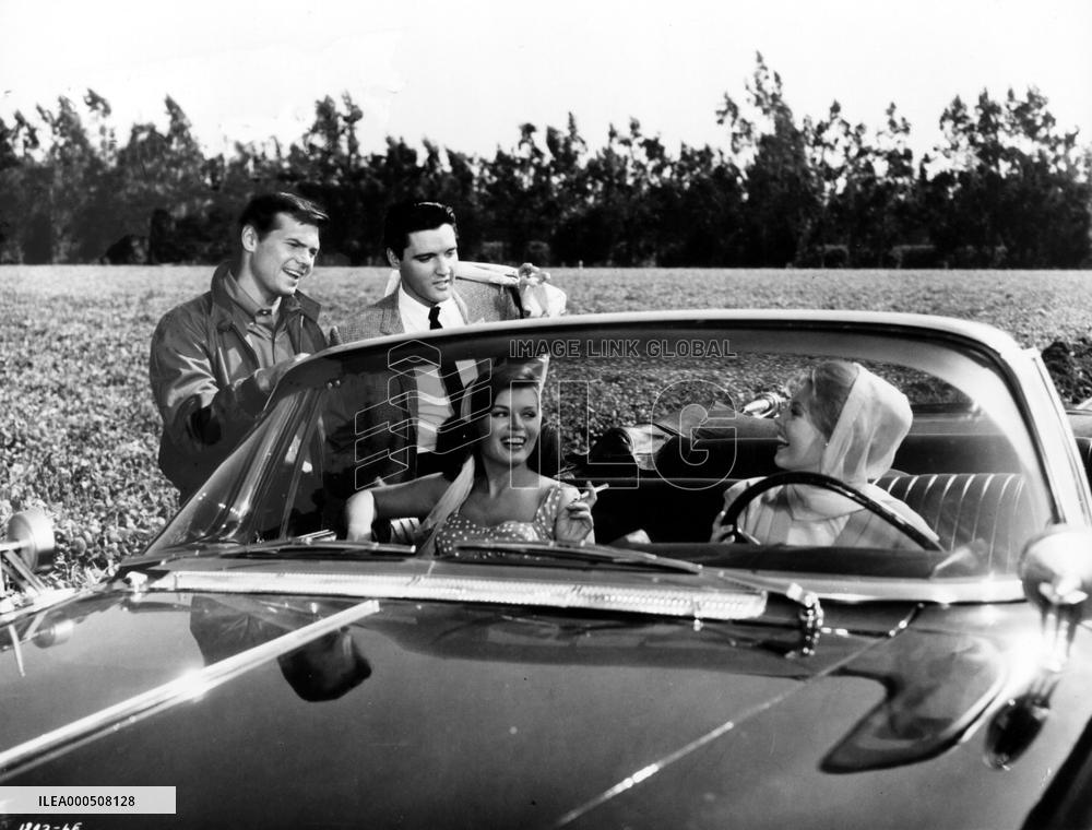 IT HAPPENED AT THE WORLD'S FAIR