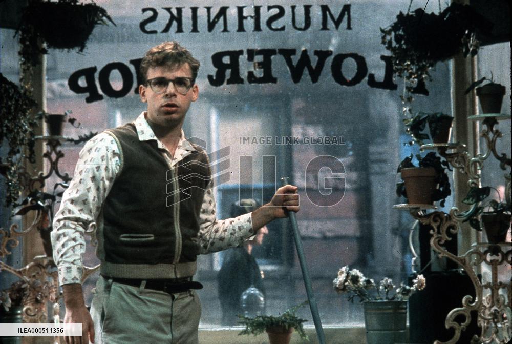 THE LITTLE SHOP OF HORRORS