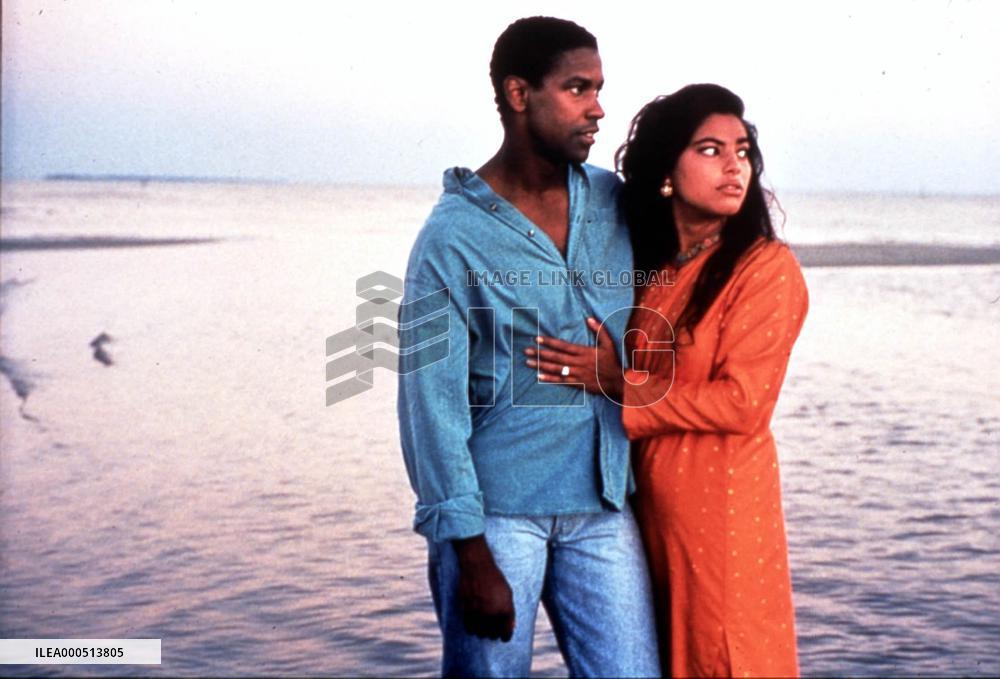 MISSISSIPPI MASALA