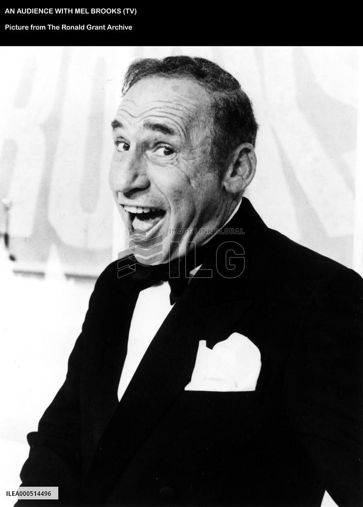 AN AUDIENCE WITH MEL BROOKS
