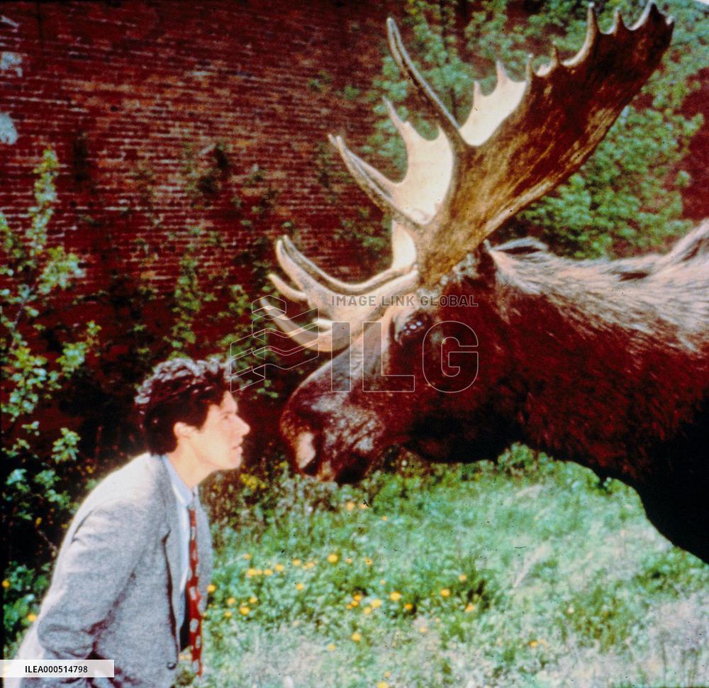 NORTHERN EXPOSURE (US TV SERIES 1990-1995) UNIVERSAL TV ROB