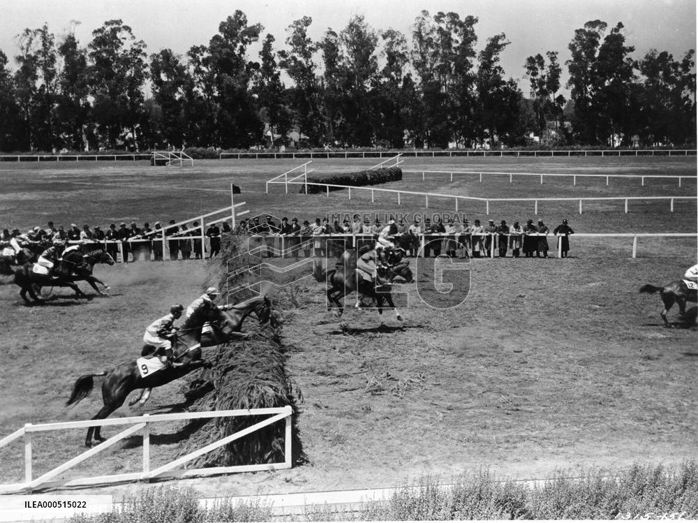 NATIONAL VELVET