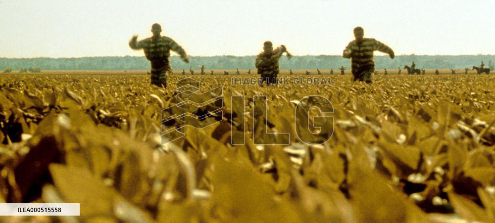 O BROTHER, WHERE ART THOU?