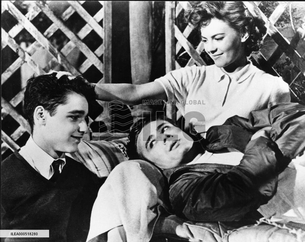 REBEL WITHOUT A CAUSE