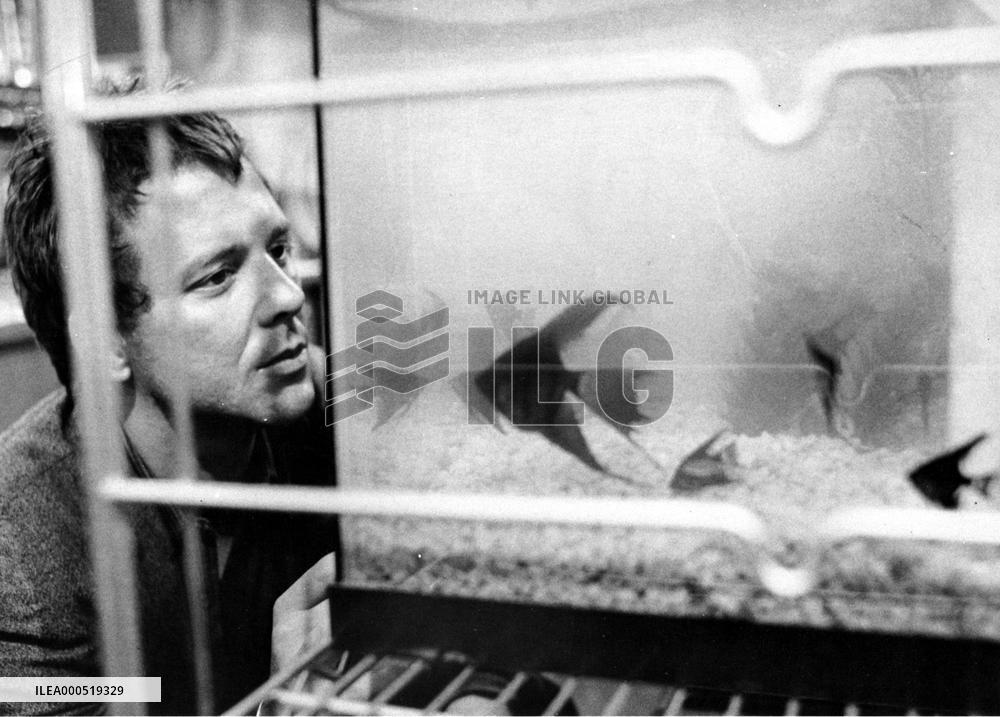 RUMBLE FISH