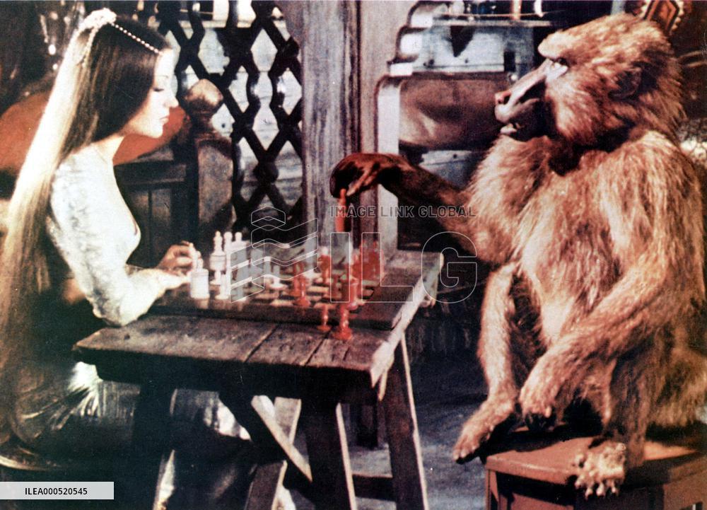 SINBAD AND THE EYE OF THE TIGER