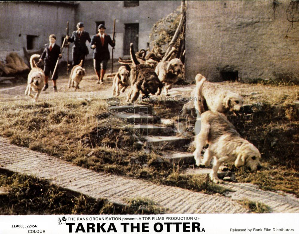 TARKA THE OTTER