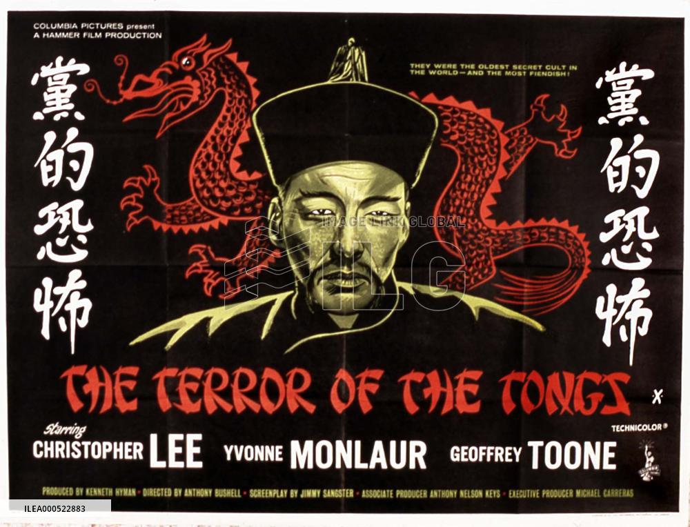 THE TERROR OF THE TONGS