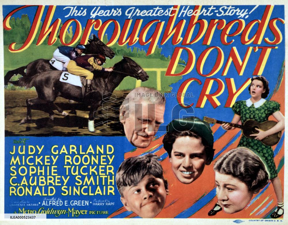 THOROUGHBREDS DON'T CRY