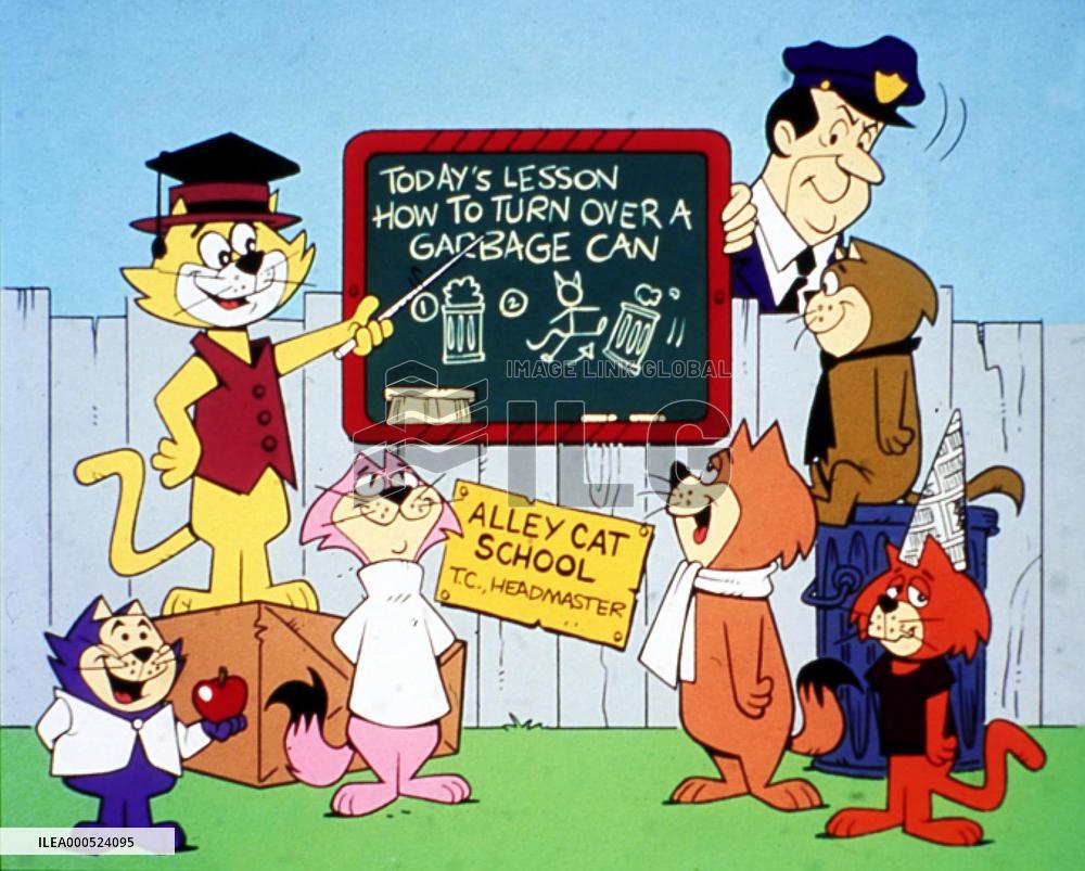 TOP CAT