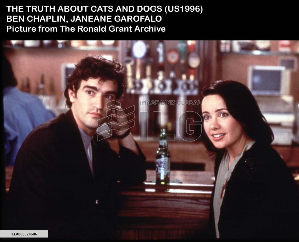 THE TRUTH ABOUT CATS AND DOGS