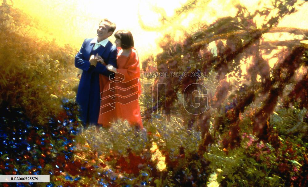 WHAT DREAMS MAY COME (US1998) ROBIN WILLIAMS, ANNABELLA SCIO