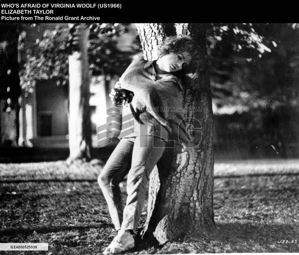 WHO'S AFRAID OF VIRGINIA WOOLF