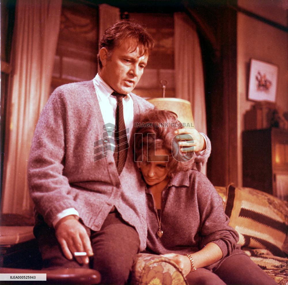 WHO'S AFRAID OF VIRGINIA WOOLF