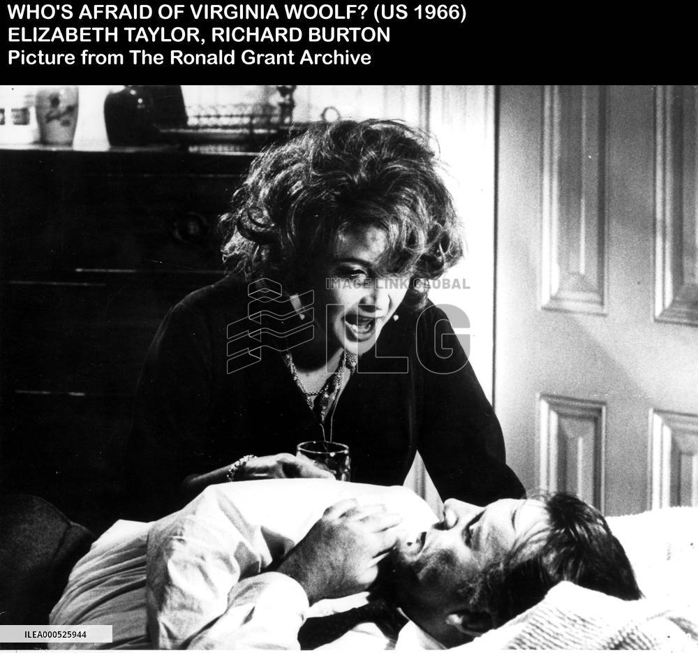 WHO'S AFRAID OF VIRGINIA WOOLF