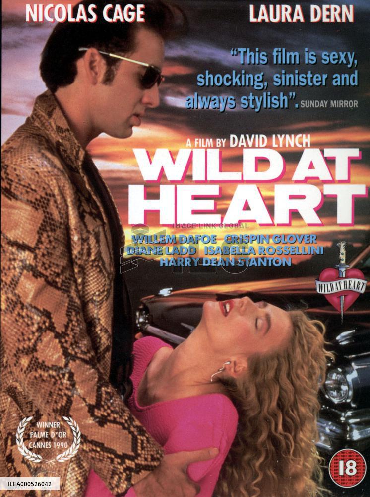 WILD AT HEART