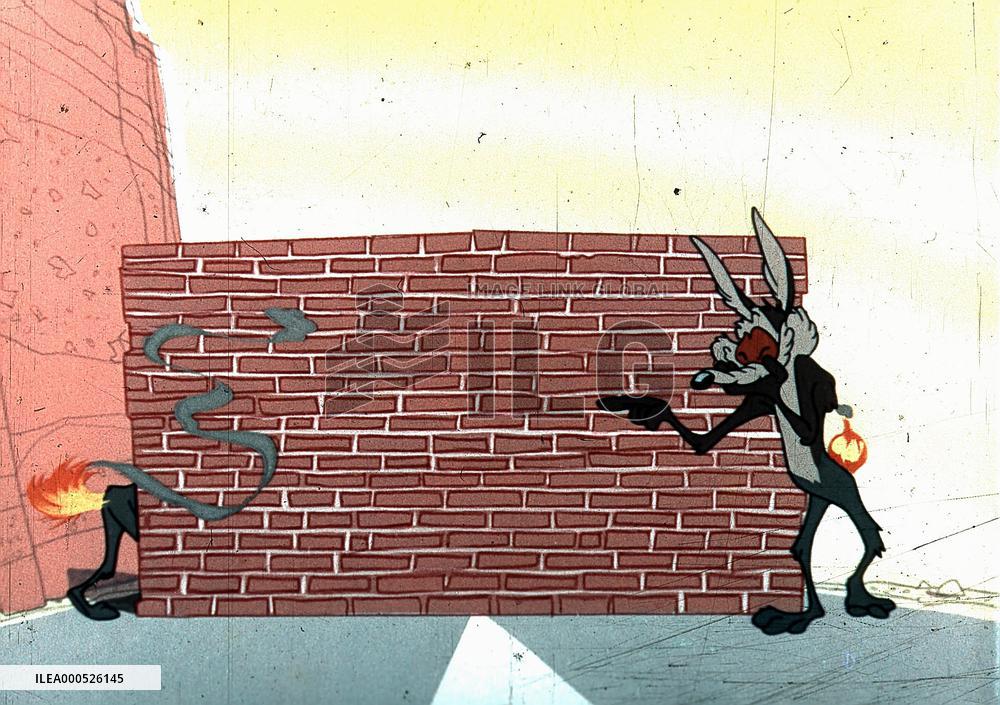 WILE E COYOTE  WARNER BROS ANIMATION