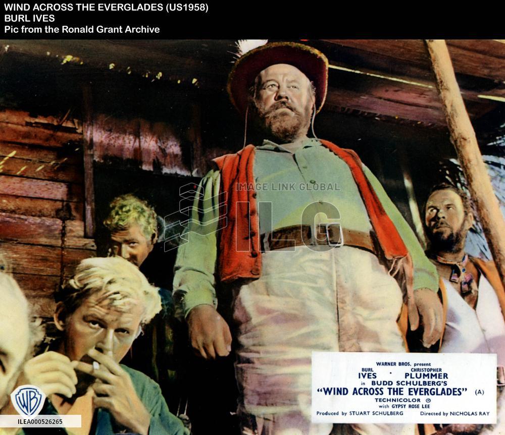 WIND ACROSS THE EVERGLADES