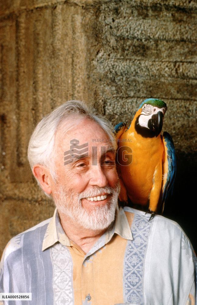 THE REAL MACAW
