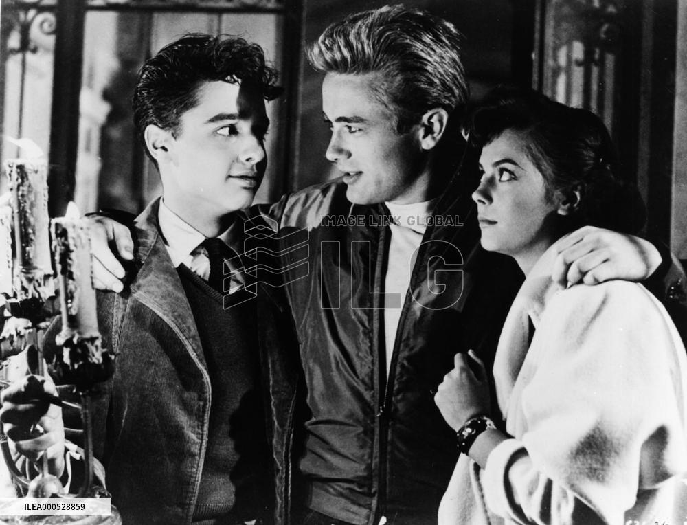 REBEL WITHOUT A CAUSE