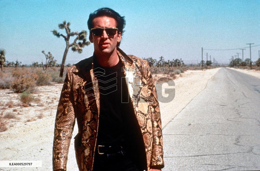 WILD AT HEART