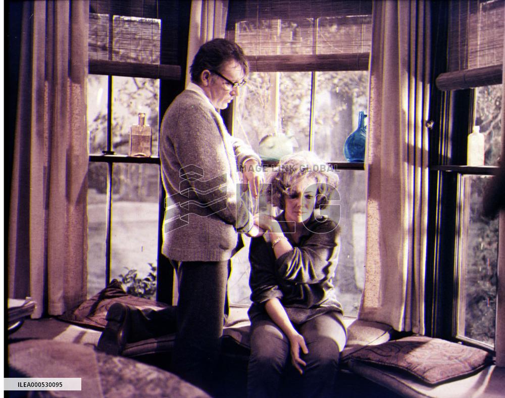WHO'S AFRAID OF VIRGINIA WOOLF?