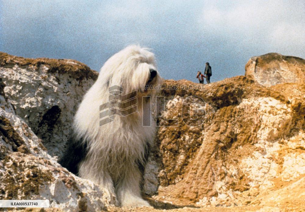 DIGBY, THE BIGGEST DOG IN THE WORLD