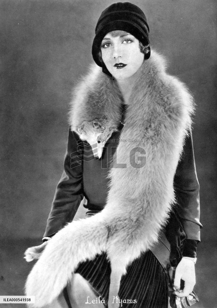 THE LAND OF THE SILVER FOX