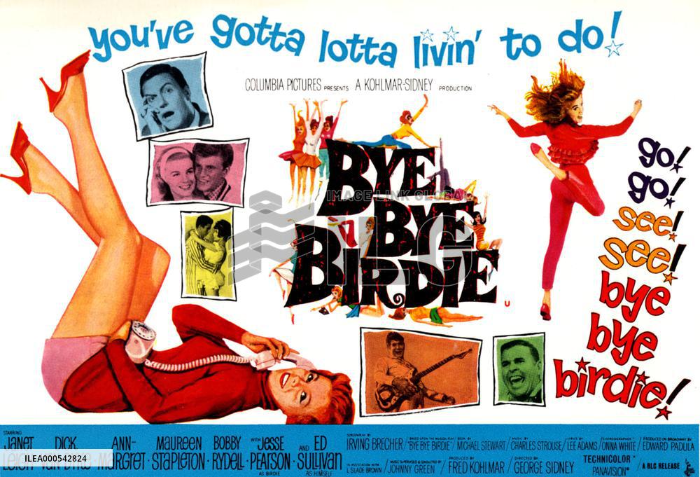 BYE BYE BIRDIE