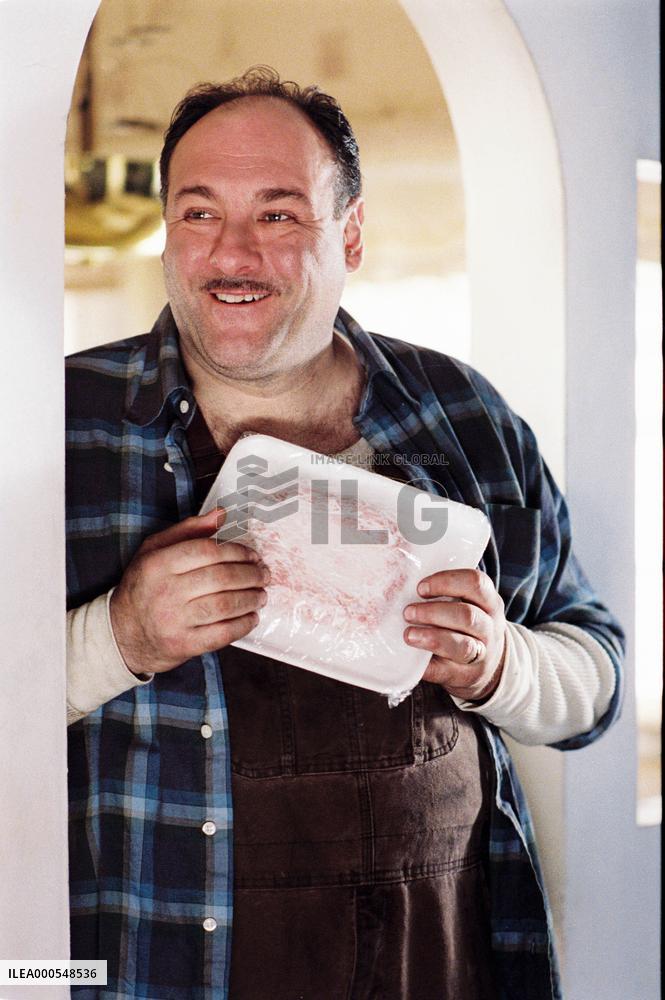 JAMES GANDOLFINI plays Nick Murder -- ROMANCE &amp; CIGARETT