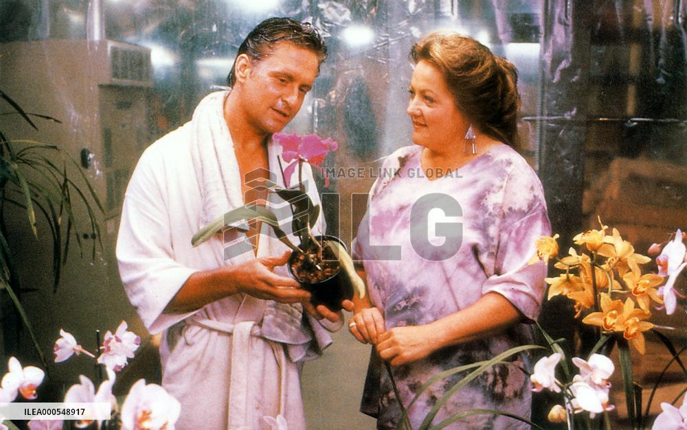 THE WAR OF THE ROSES