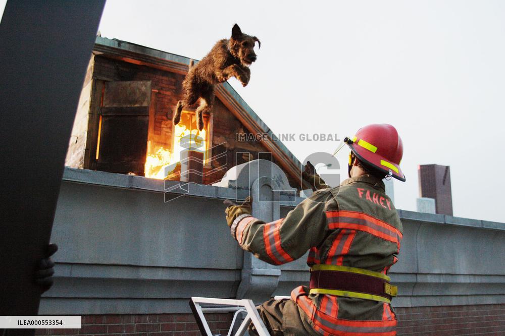 Firehouse Dog For further information please contact your lo