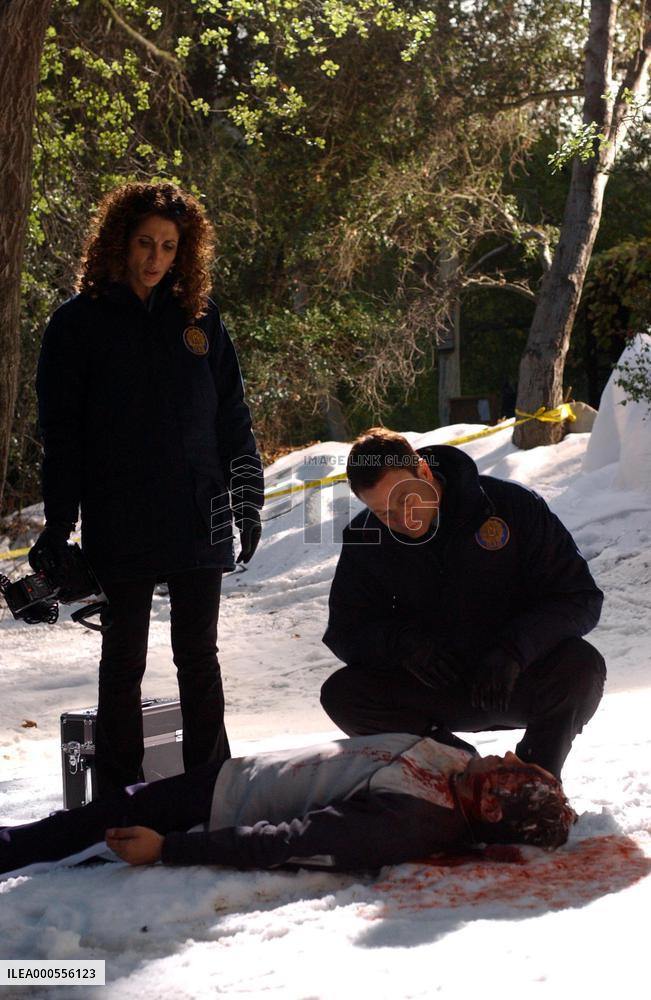 "Tanglewood"   Photo: Patrick Ecclesine/ CBS  Lice