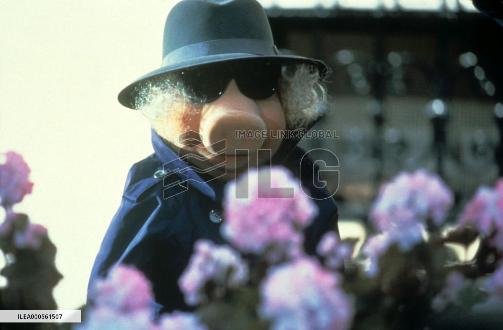 THE GREAT MUPPET CAPER