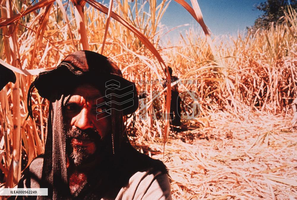 Quality: 2nd Generation. Film Title: Behind The Sun.    For