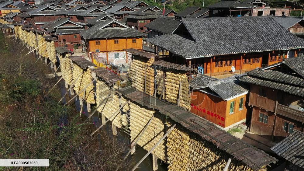 Dong Village Drying Grain In Winter