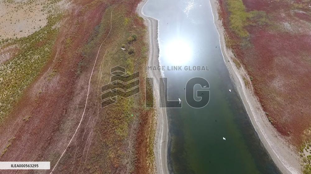 Autumn Landscape In Xinjiang