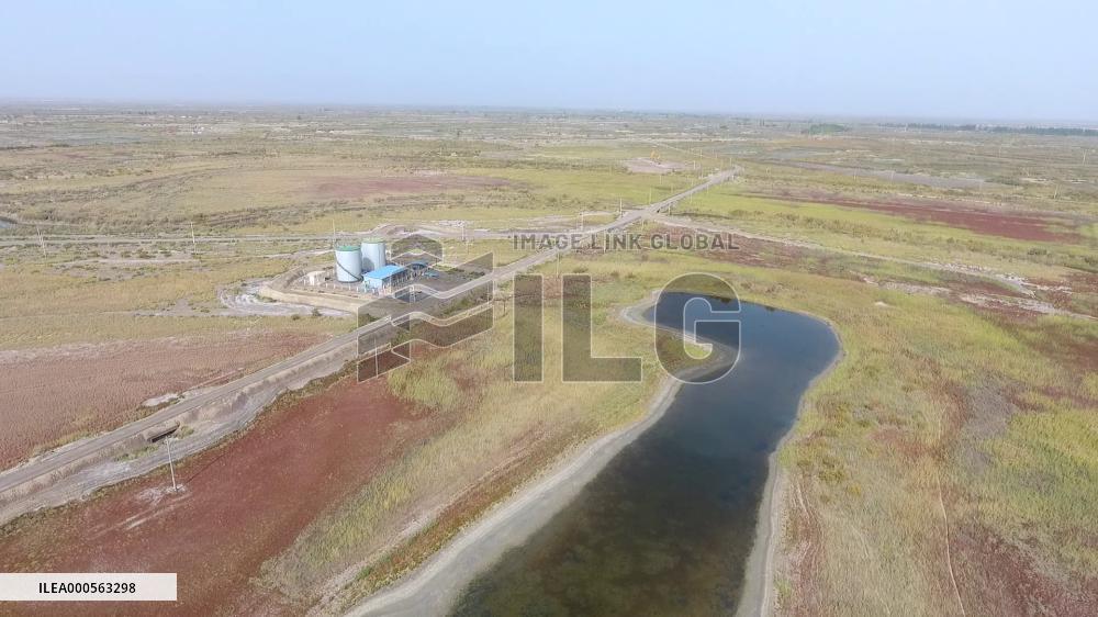 Autumn Landscape In Xinjiang