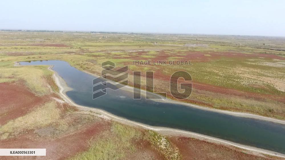 Autumn Landscape In Xinjiang