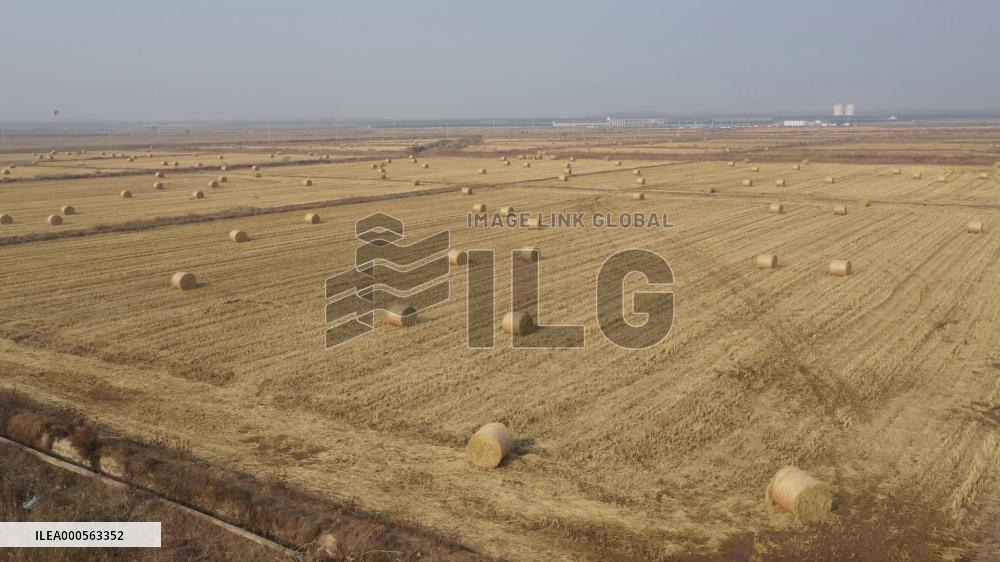 Winter harvest Haystack