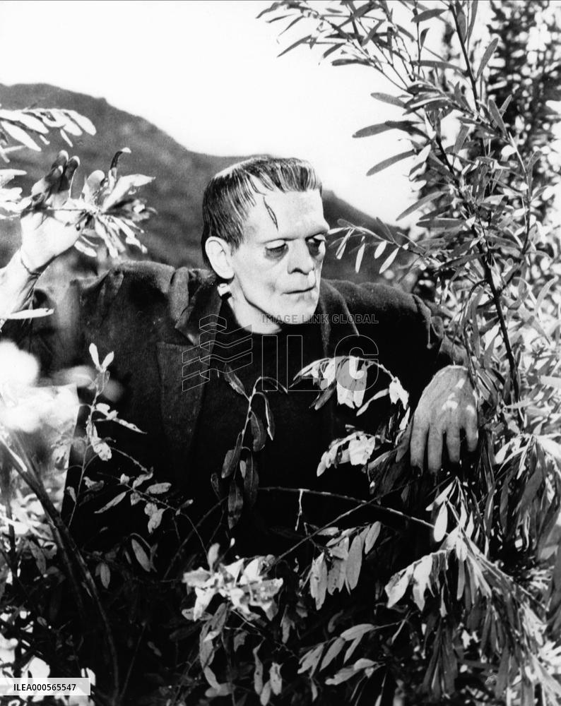 Frankenstein film (1931)
