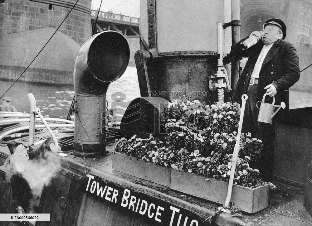 THE BOY ON THE BRIDGE